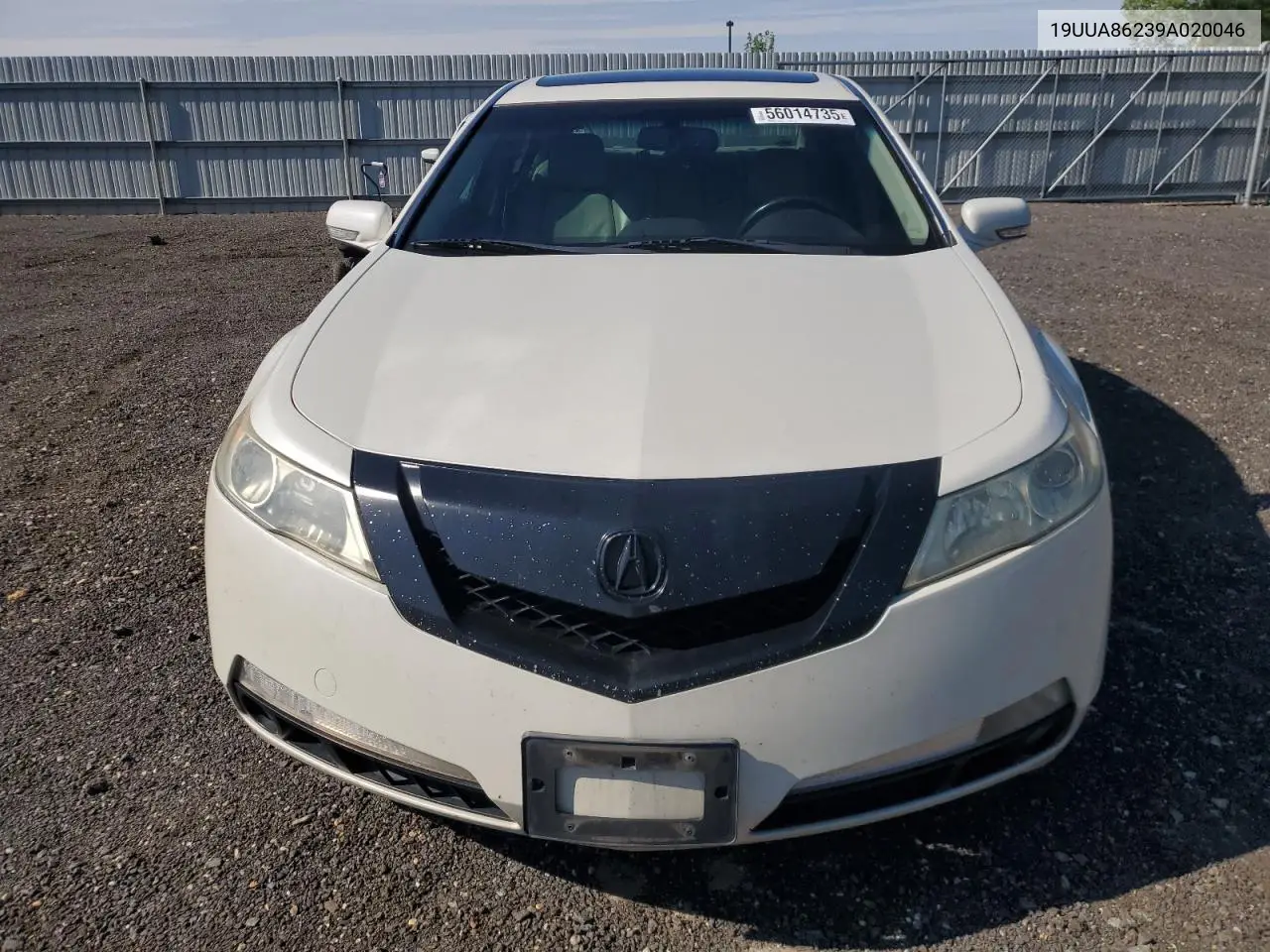2009 Acura Tl VIN: 19UUA86239A020046 Lot: 56014735