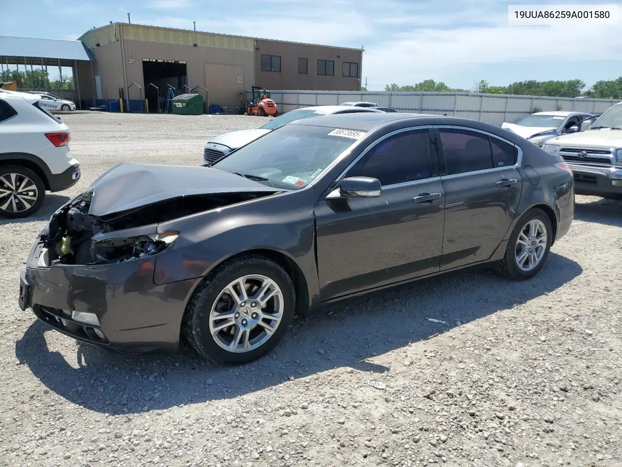 2009 Acura Tl VIN: 19UUA86259A001580 Lot: 56673695