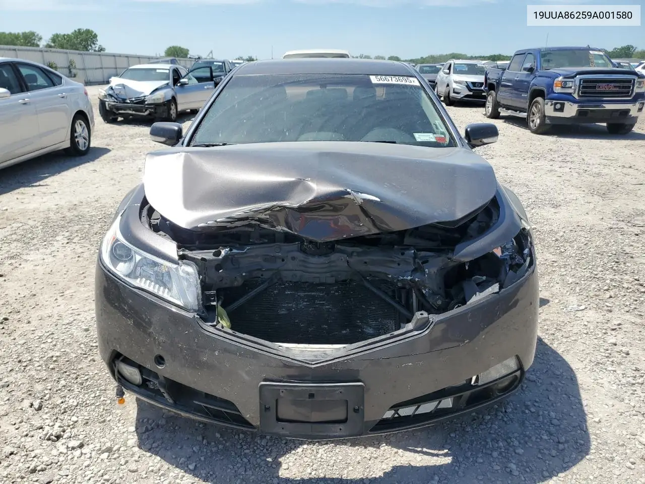 2009 Acura Tl VIN: 19UUA86259A001580 Lot: 56673695