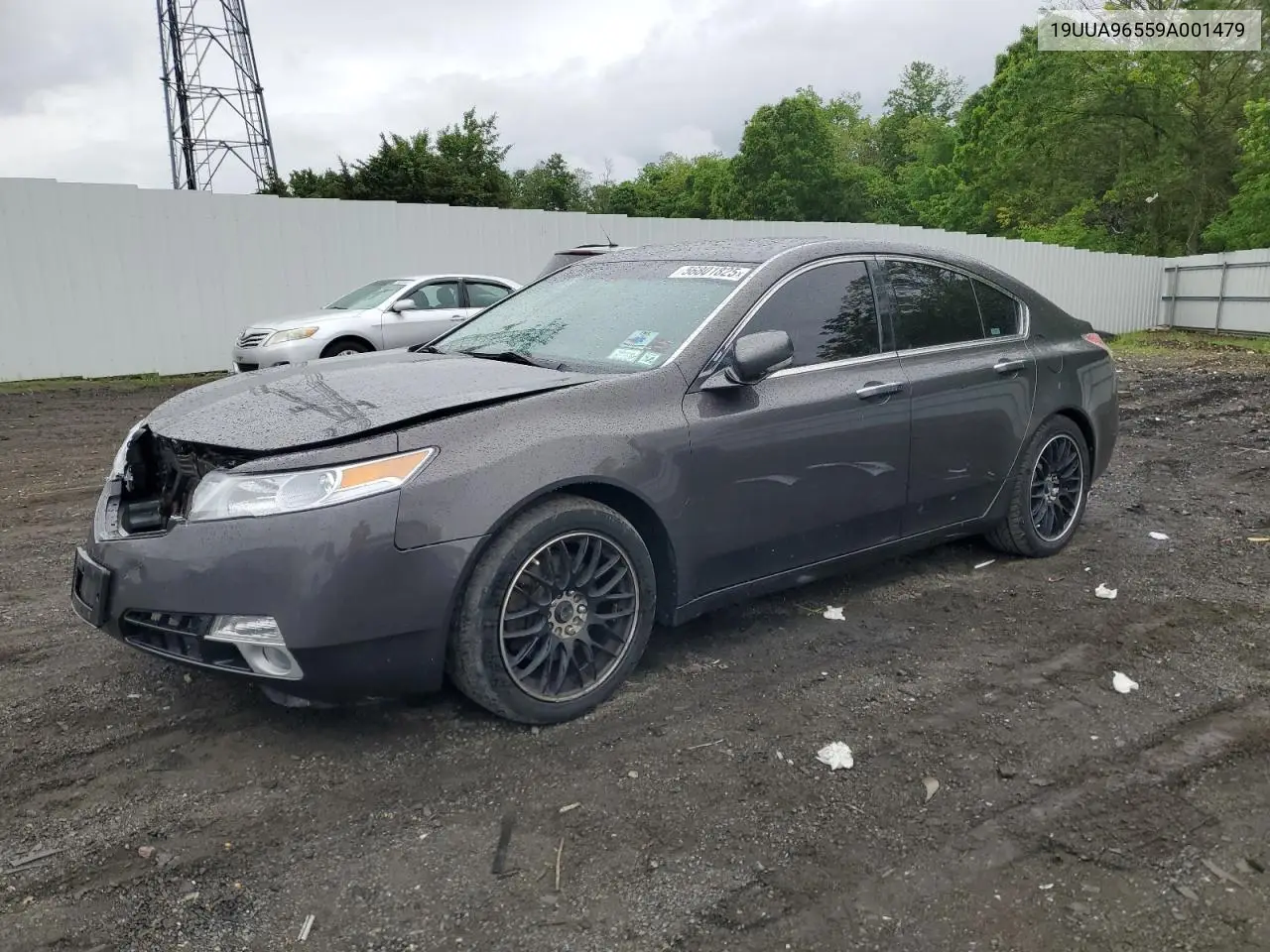 2009 Acura Tl VIN: 19UUA96559A001479 Lot: 56801825