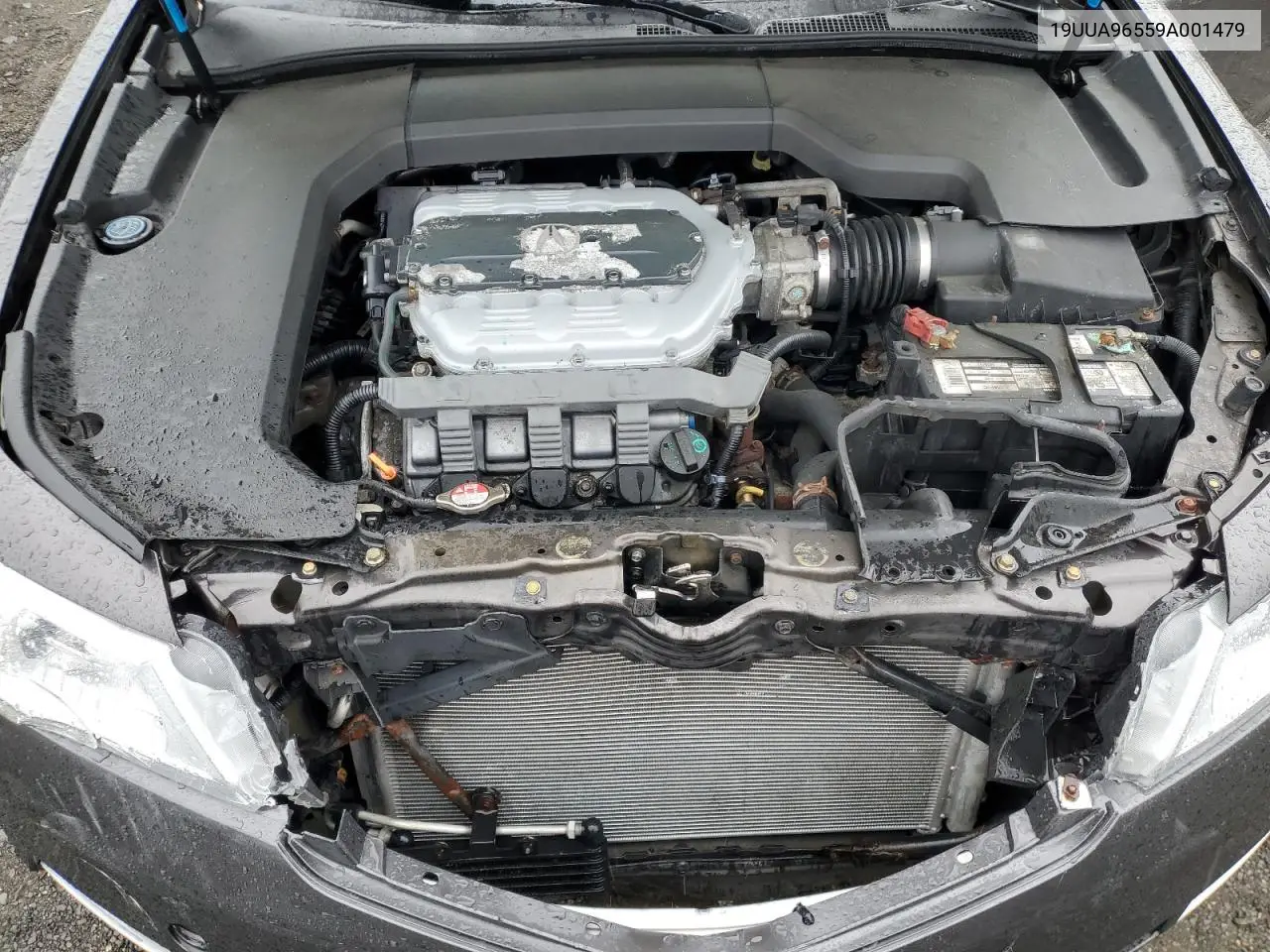 2009 Acura Tl VIN: 19UUA96559A001479 Lot: 56801825