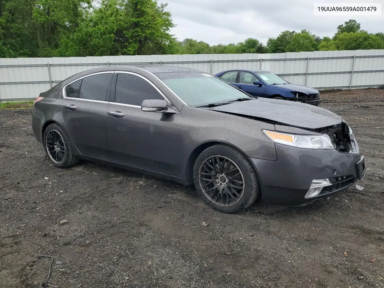 2009 Acura Tl VIN: 19UUA96559A001479 Lot: 56801825