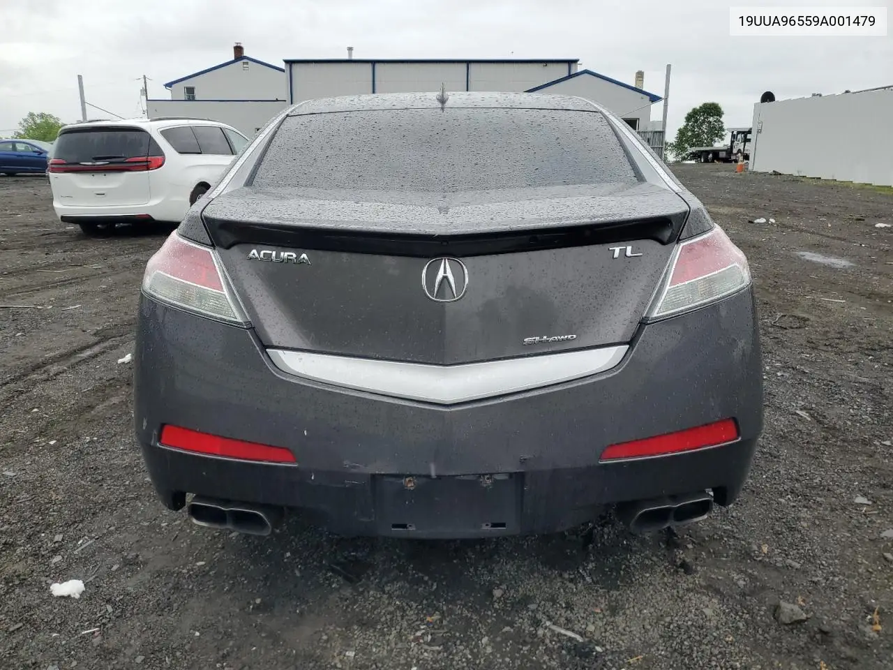 2009 Acura Tl VIN: 19UUA96559A001479 Lot: 56801825