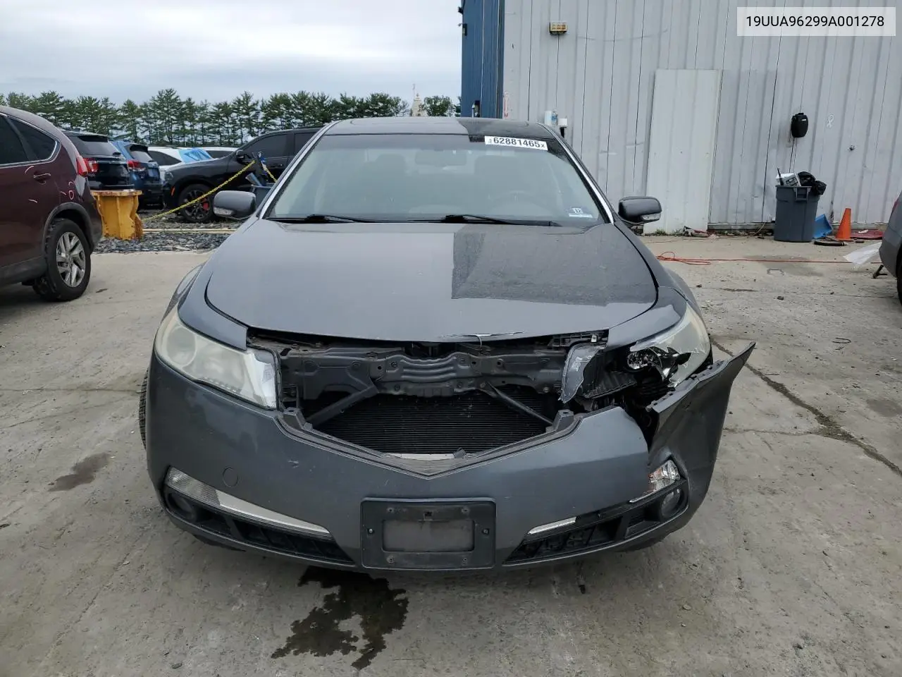 2009 Acura Tl VIN: 19UUA96299A001278 Lot: 62881465