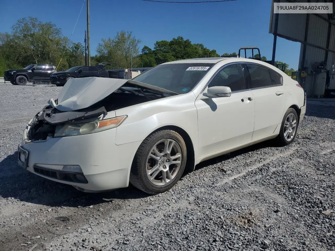2010 Acura Tl VIN: 19UUA8F29AA024705 Lot: 52616705