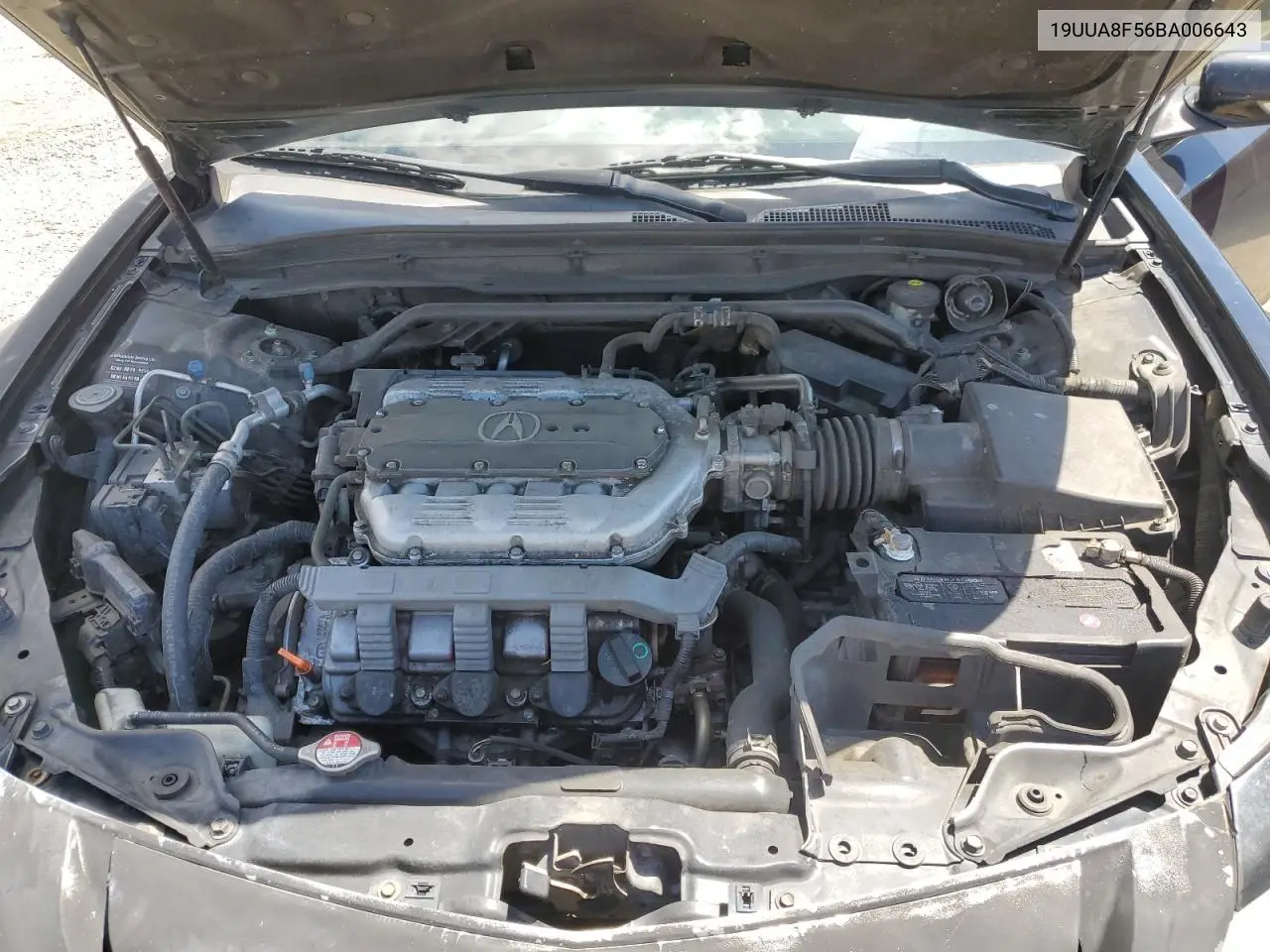 2011 Acura Tl VIN: 19UUA8F56BA006643 Lot: 56926515