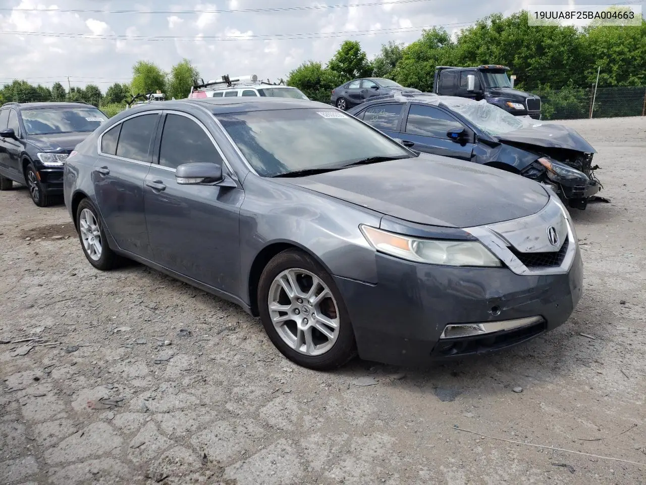 2011 Acura Tl VIN: 19UUA8F25BA004663 Lot: 62608255