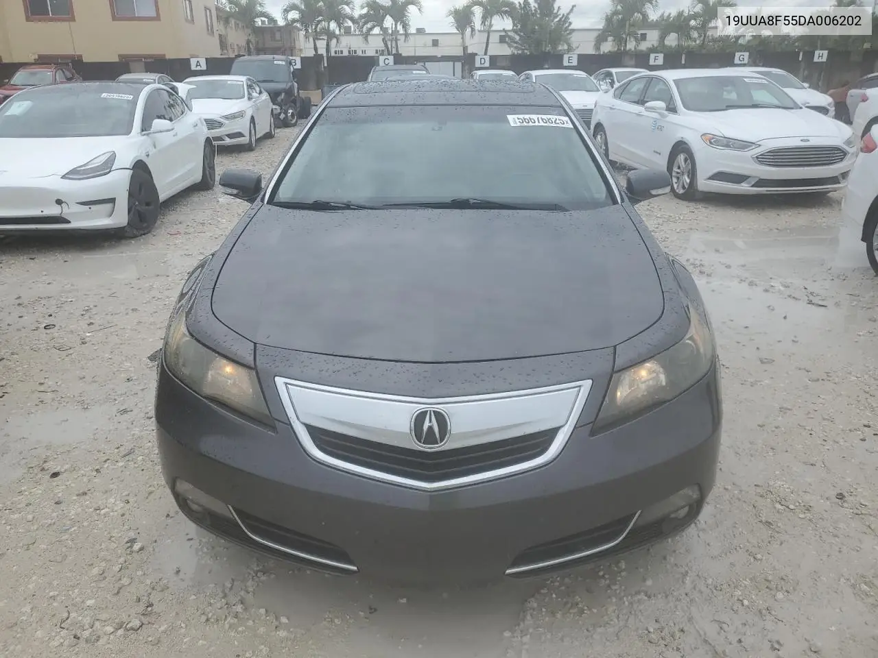 2013 Acura Tl Tech VIN: 19UUA8F55DA006202 Lot: 56676825
