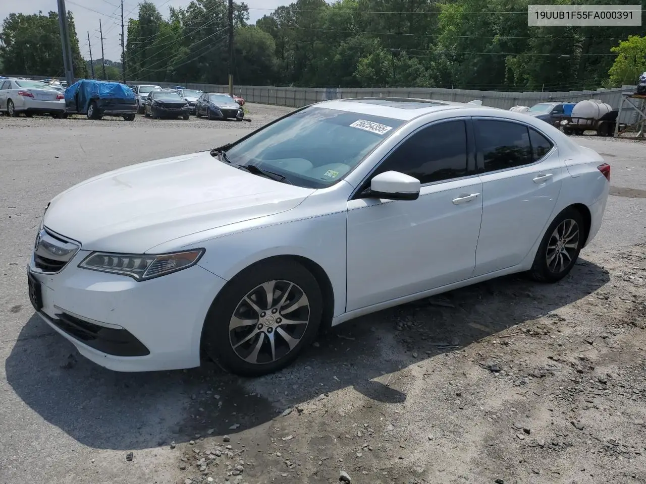 2015 Acura Tlx Tech VIN: 19UUB1F55FA000391 Lot: 56254355