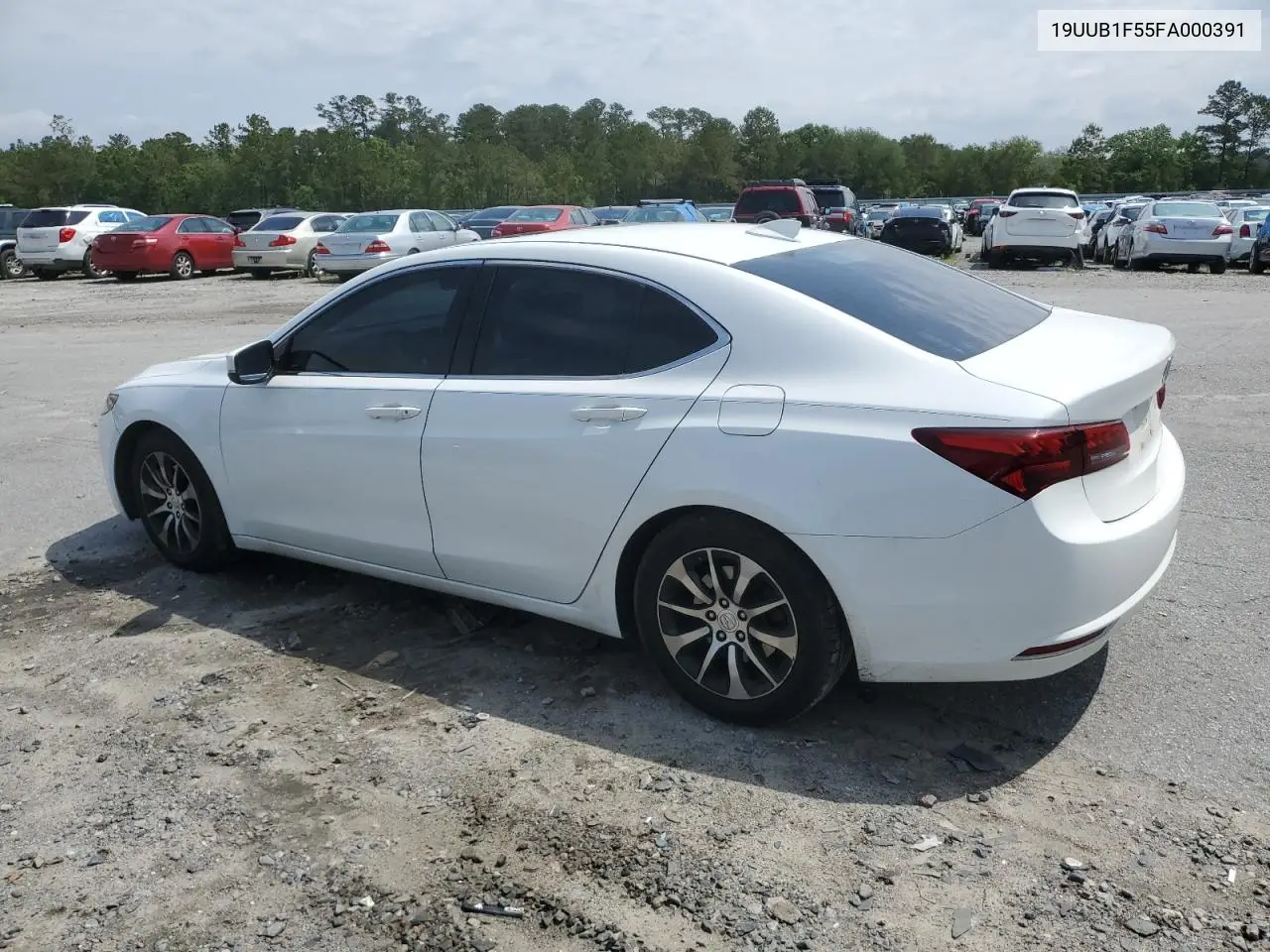 2015 Acura Tlx Tech VIN: 19UUB1F55FA000391 Lot: 56254355