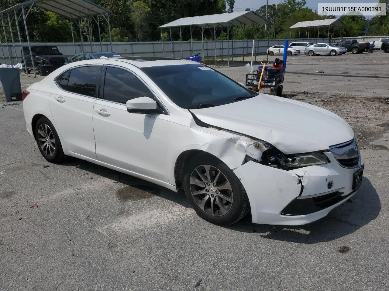 2015 Acura Tlx Tech VIN: 19UUB1F55FA000391 Lot: 56254355