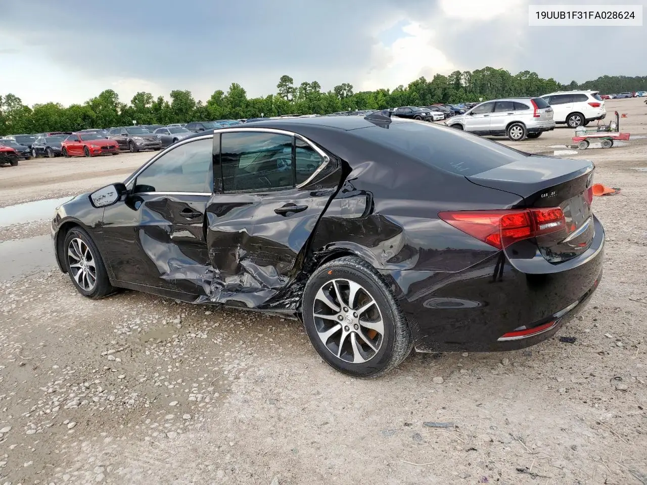 2015 Acura Tlx VIN: 19UUB1F31FA028624 Lot: 62429585