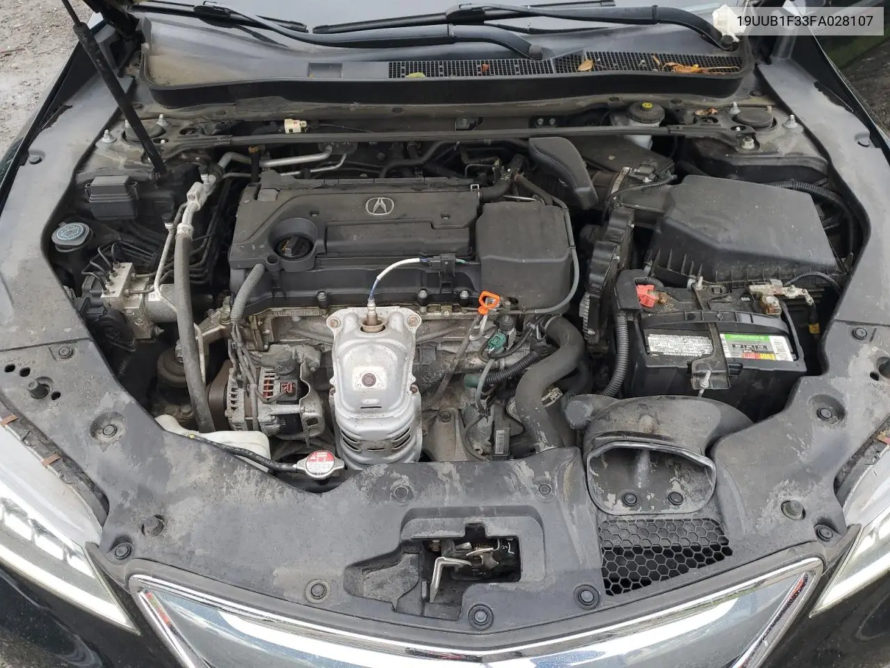 2015 Acura Tlx VIN: 19UUB1F33FA028107 Lot: 65567055