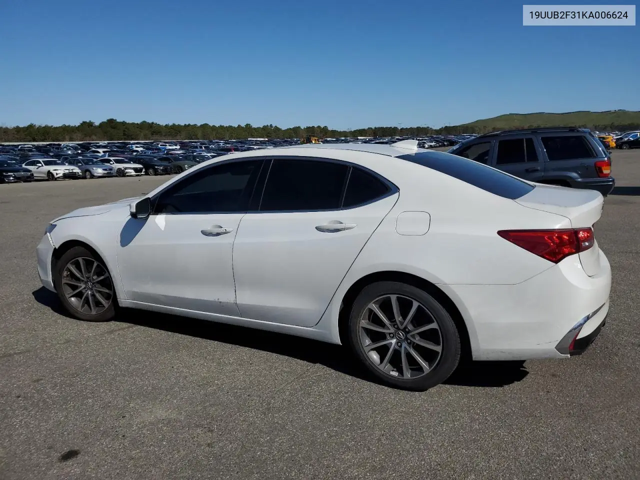 2019 Acura Tlx VIN: 19UUB2F31KA006624 Lot: 54650295