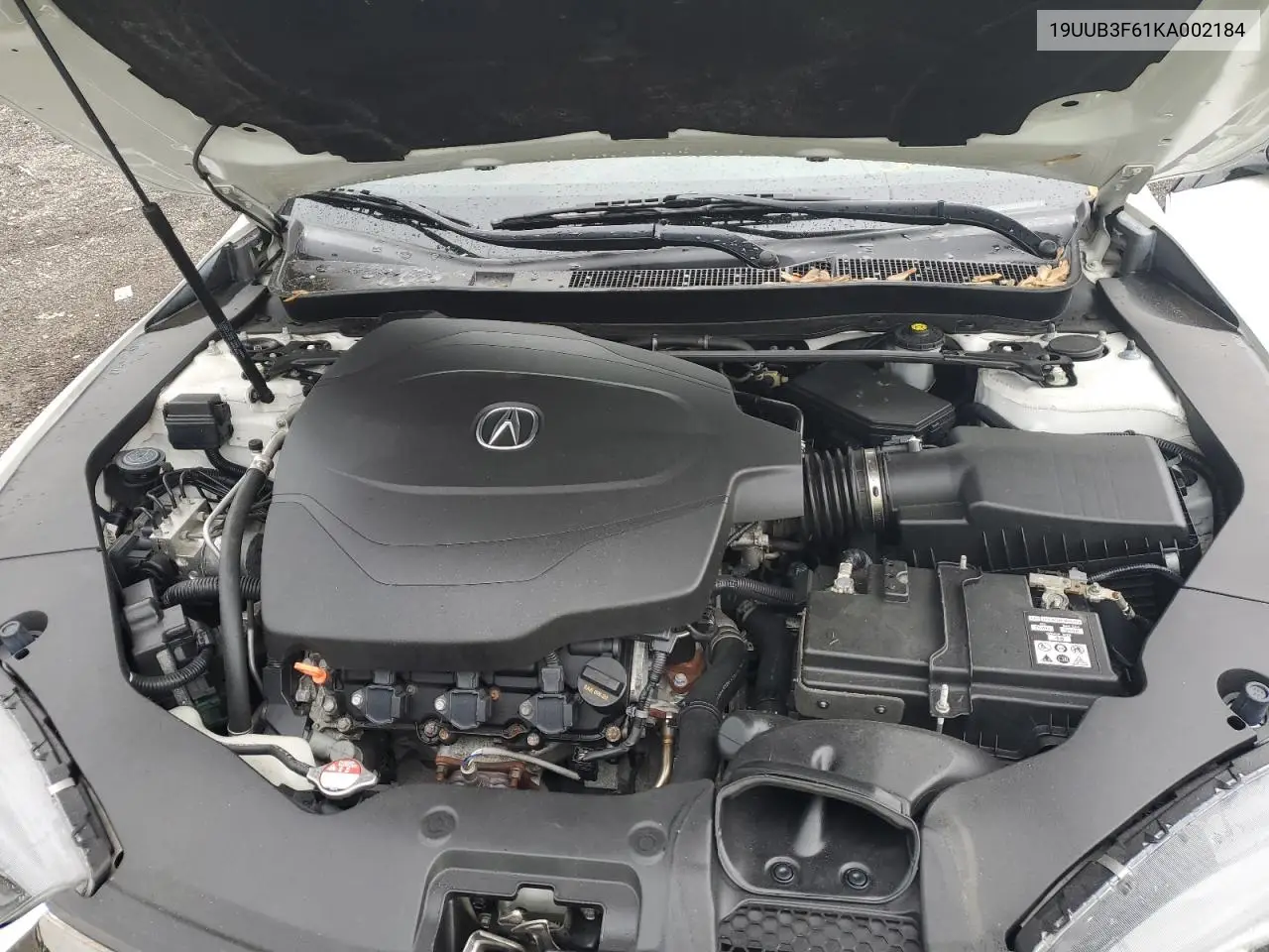 2019 Acura Tlx Technology VIN: 19UUB3F61KA002184 Lot: 56479445