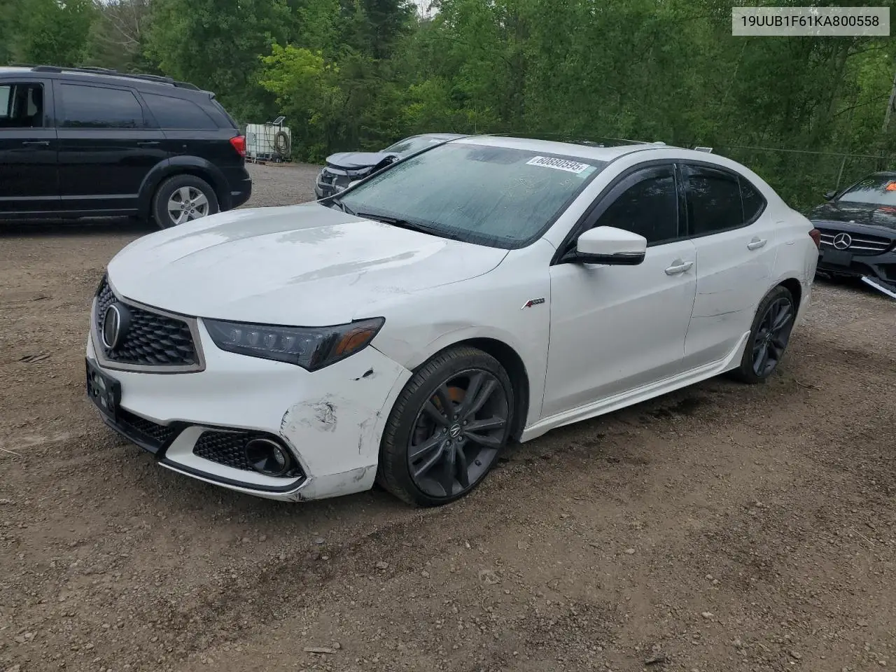 2019 Acura Tlx Technology VIN: 19UUB1F61KA800558 Lot: 60880595