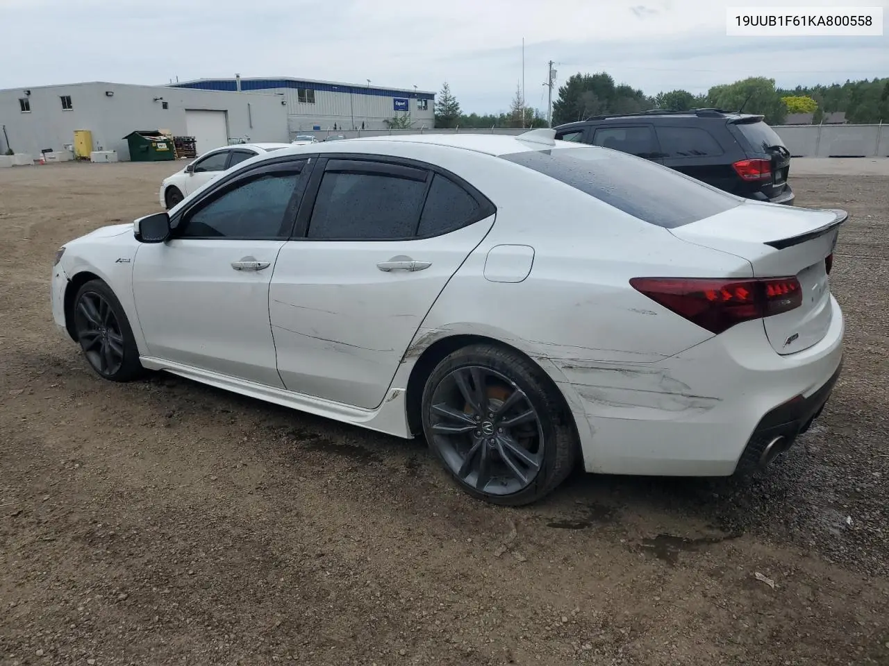 2019 Acura Tlx Technology VIN: 19UUB1F61KA800558 Lot: 60880595