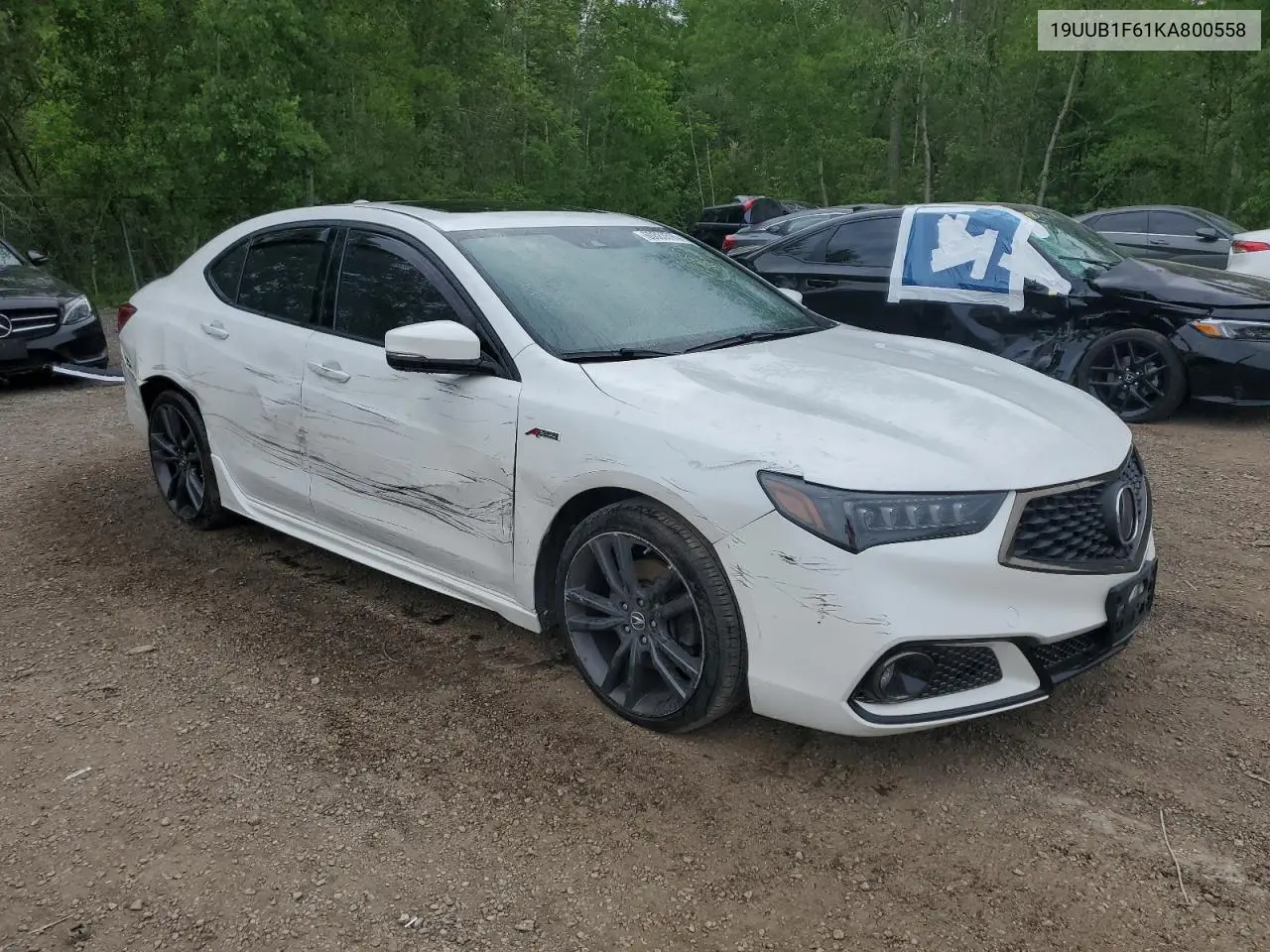 2019 Acura Tlx Technology VIN: 19UUB1F61KA800558 Lot: 60880595
