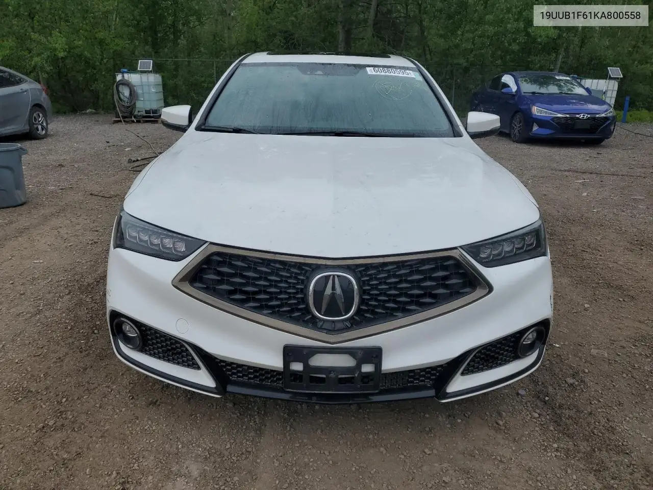 2019 Acura Tlx Technology VIN: 19UUB1F61KA800558 Lot: 60880595