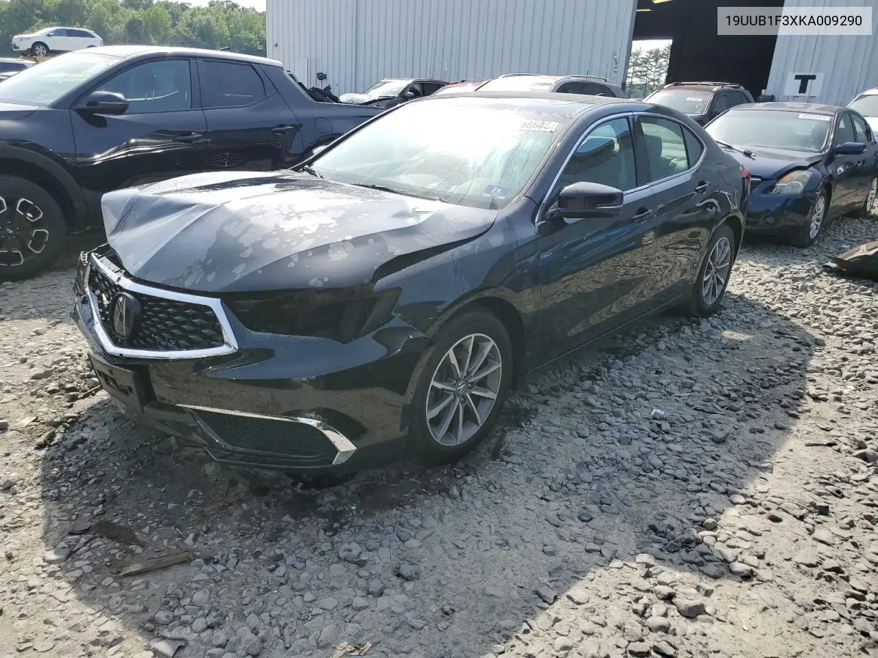 2019 Acura Tlx VIN: 19UUB1F3XKA009290 Lot: 61786685