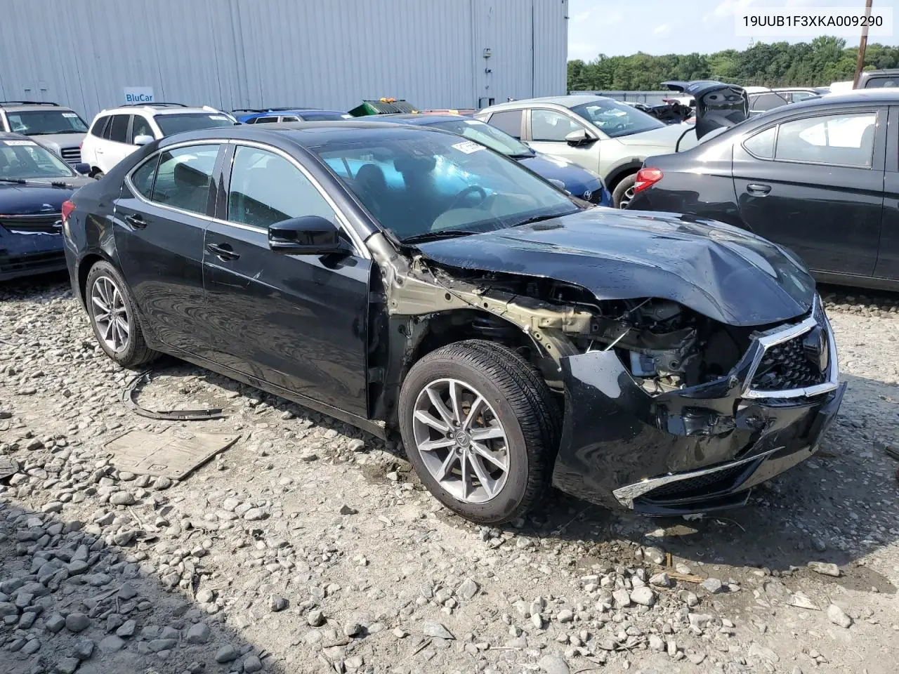 2019 Acura Tlx VIN: 19UUB1F3XKA009290 Lot: 61786685
