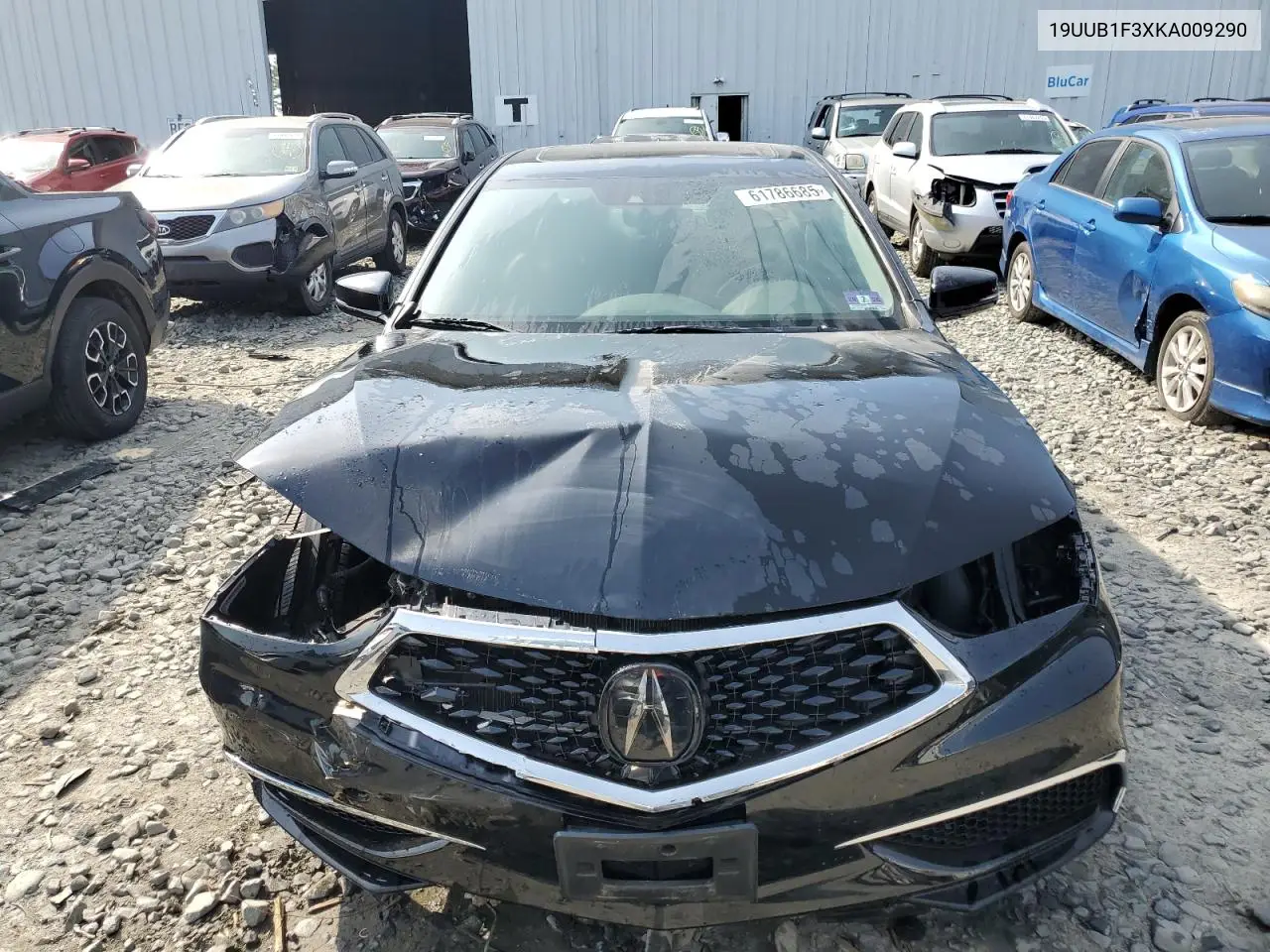 2019 Acura Tlx VIN: 19UUB1F3XKA009290 Lot: 61786685