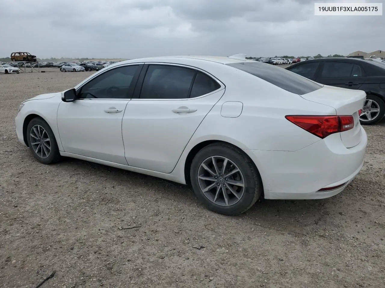 2020 Acura Tlx VIN: 19UUB1F3XLA005175 Lot: 51380855