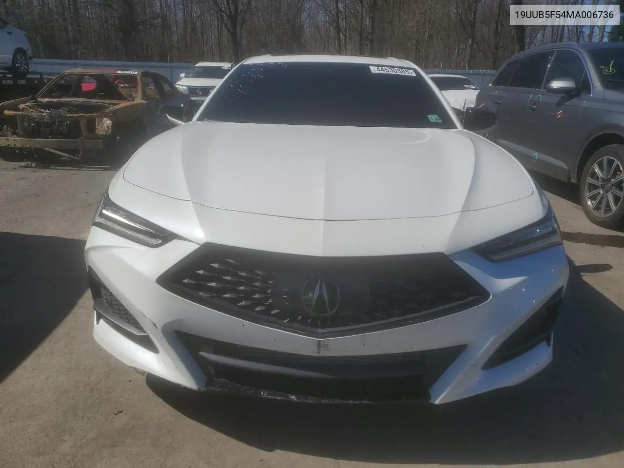 2021 Acura Tlx Tech A VIN: 19UUB5F54MA006736 Lot: 44530385