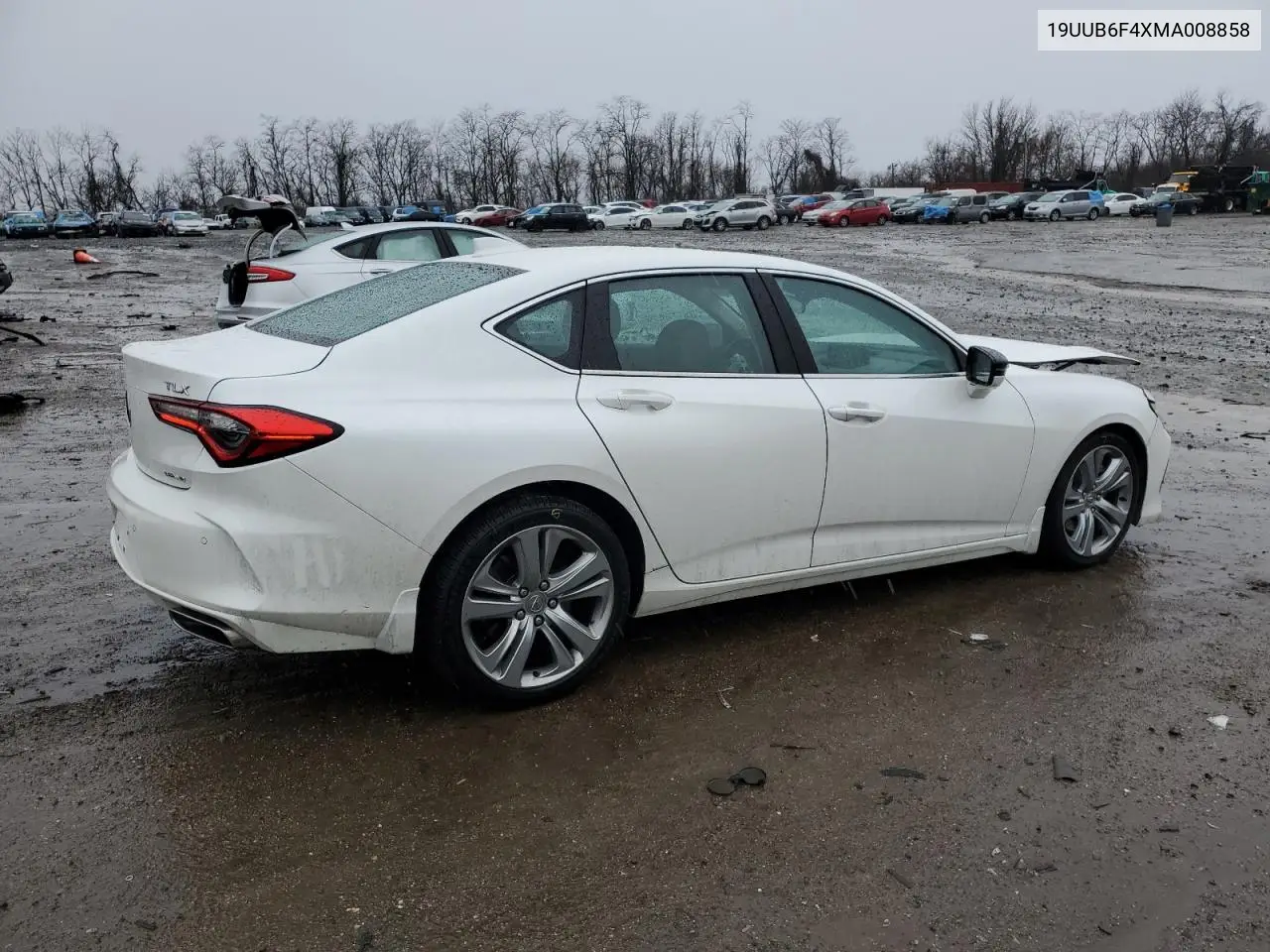 2021 Acura Tlx Technology VIN: 19UUB6F4XMA008858 Lot: 47849325