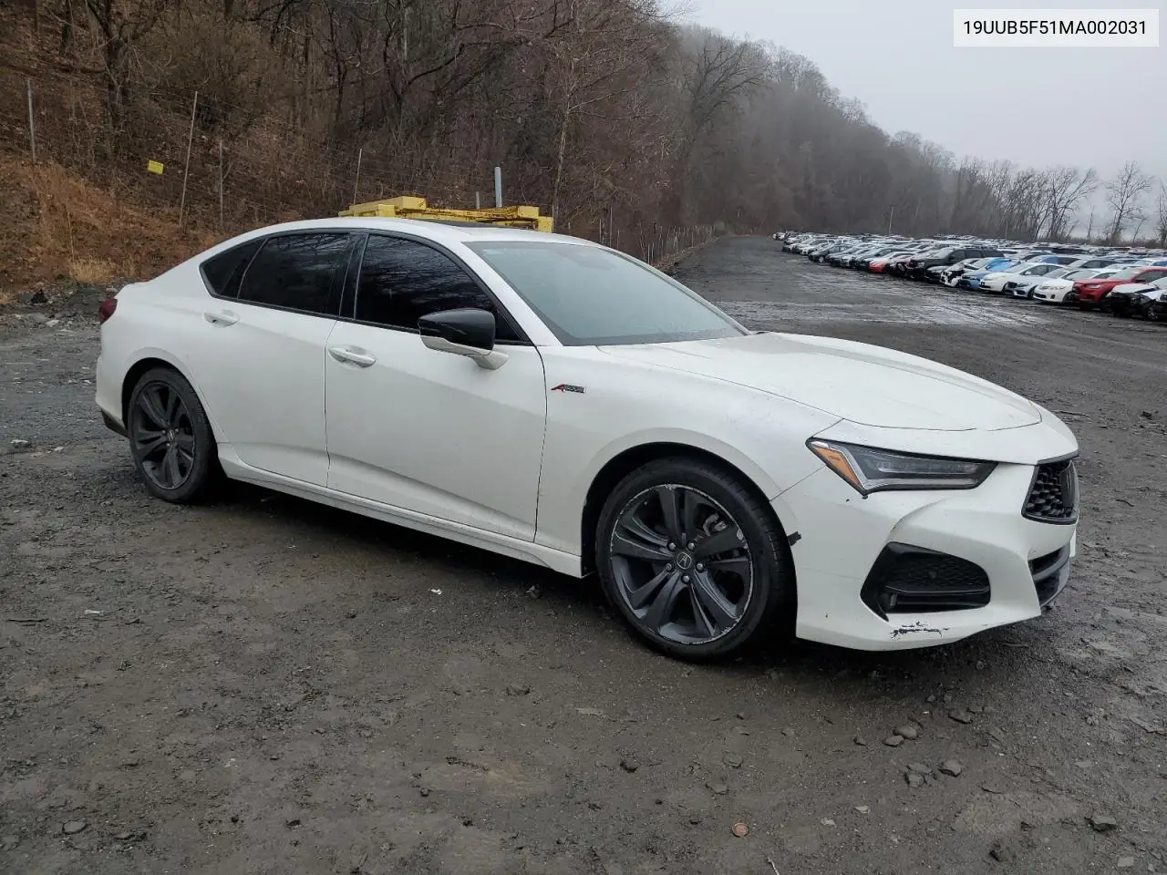 2021 Acura Tlx Tech A VIN: 19UUB5F51MA002031 Lot: 50867385