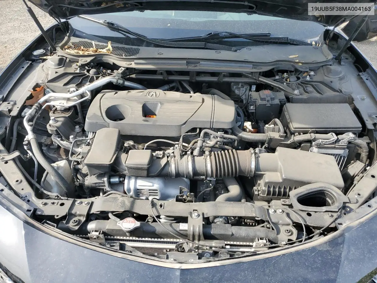 2021 Acura Tlx VIN: 19UUB5F38MA004163 Lot: 54009015