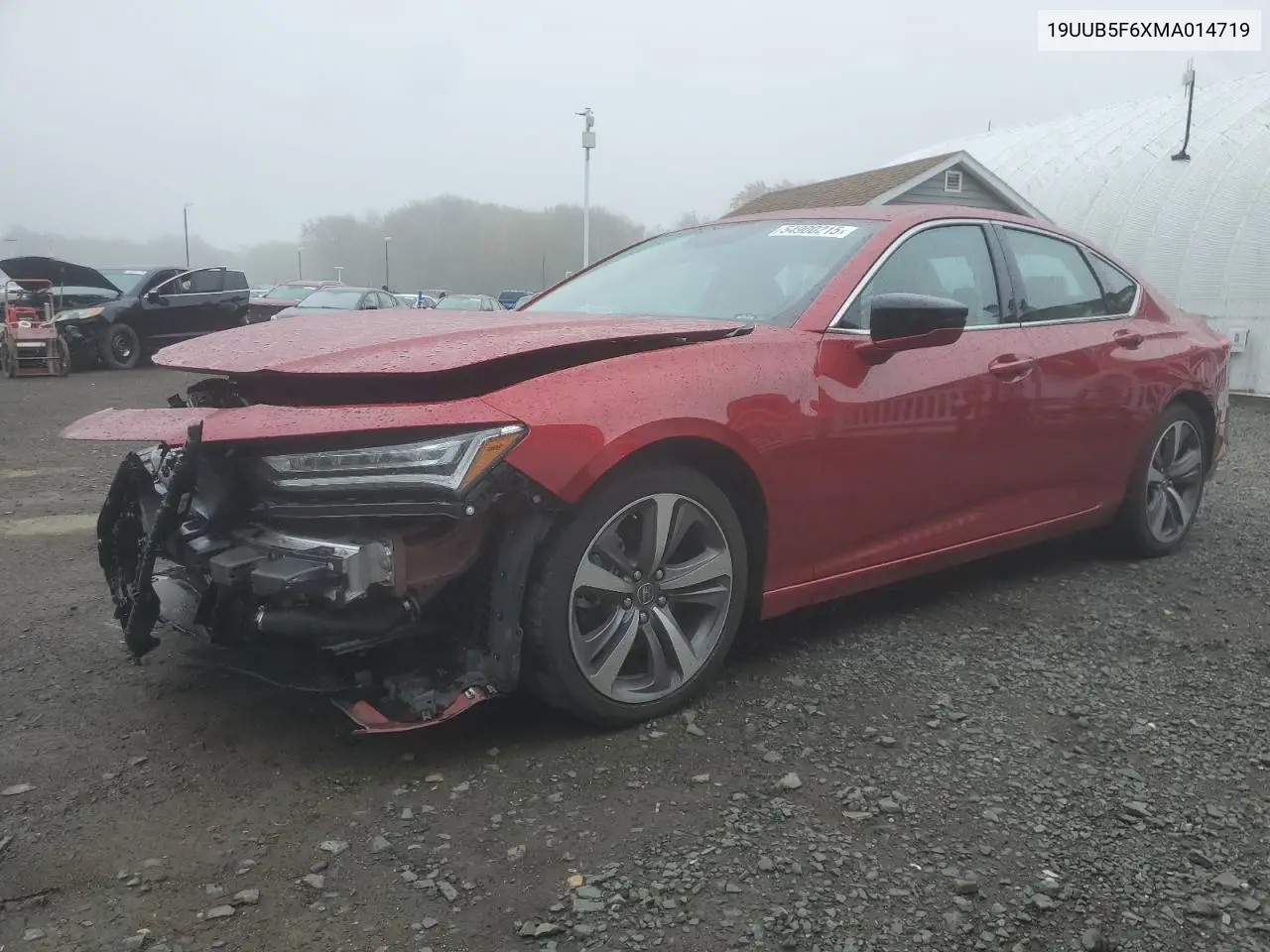 2021 Acura Tlx Advance VIN: 19UUB5F6XMA014719 Lot: 54900215