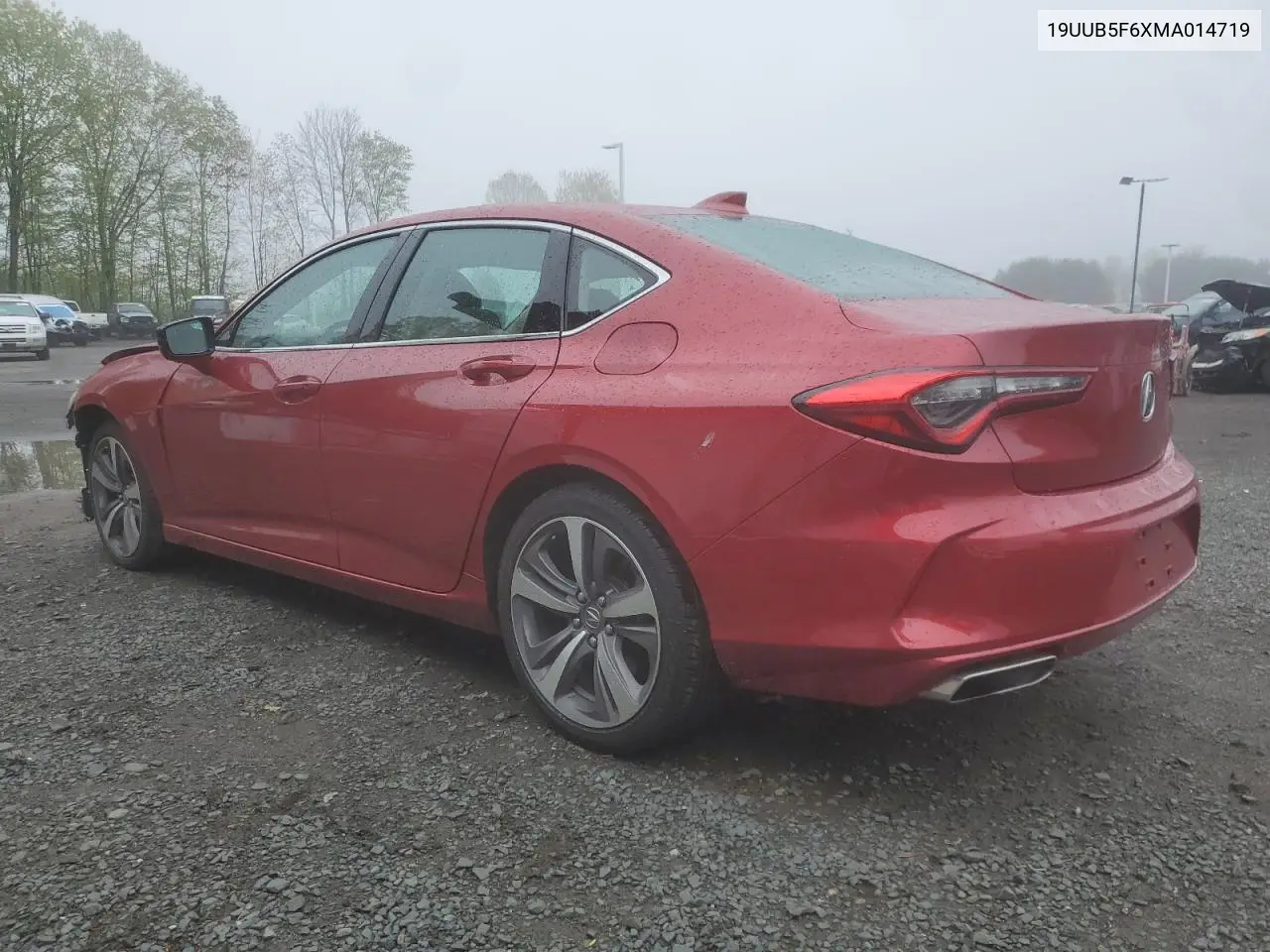 2021 Acura Tlx Advance VIN: 19UUB5F6XMA014719 Lot: 54900215