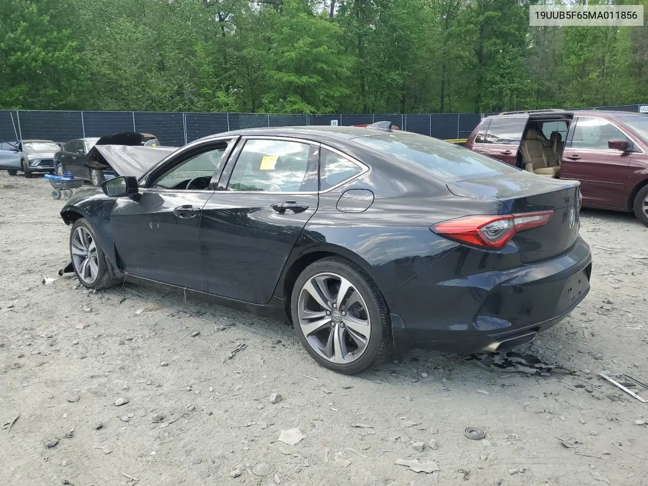 2021 Acura Tlx Advance VIN: 19UUB5F65MA011856 Lot: 54974865