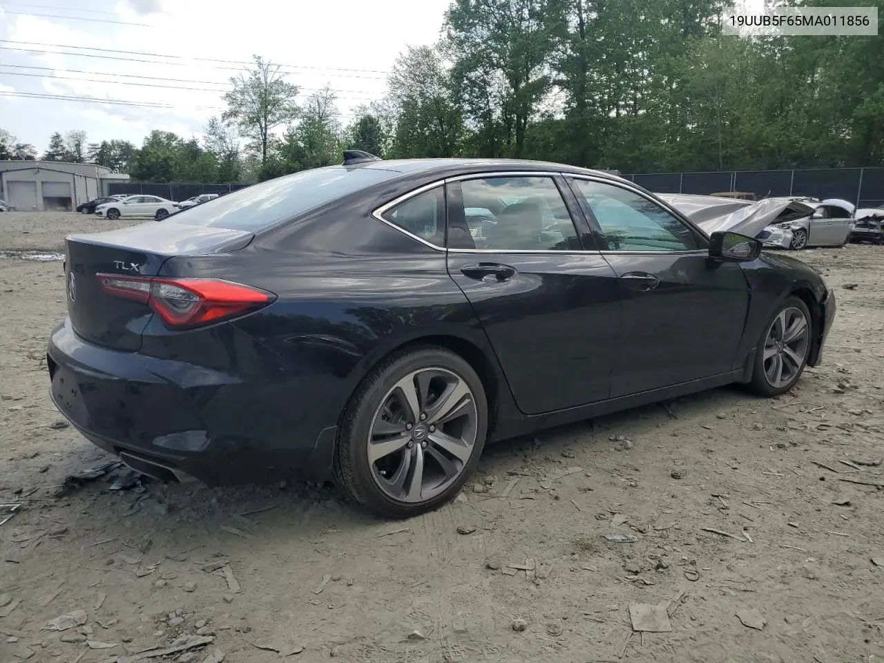 2021 Acura Tlx Advance VIN: 19UUB5F65MA011856 Lot: 54974865