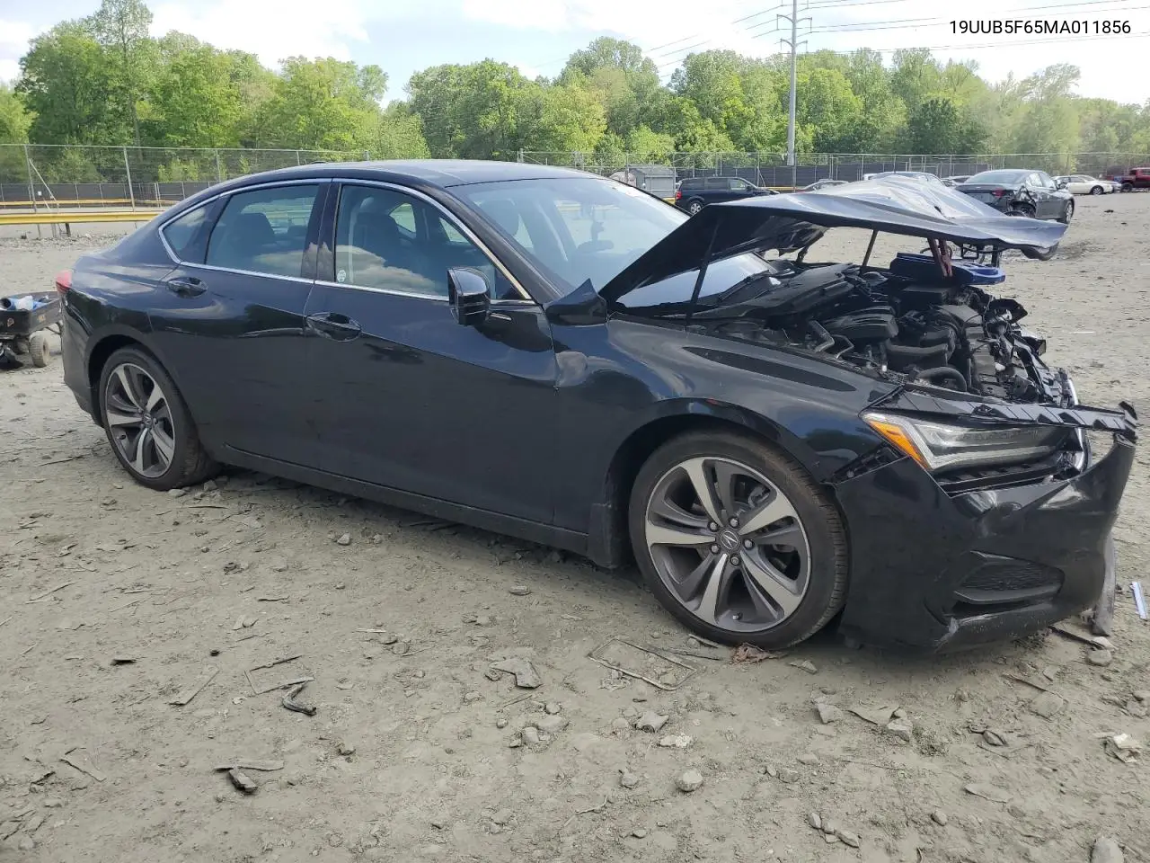 2021 Acura Tlx Advance VIN: 19UUB5F65MA011856 Lot: 54974865