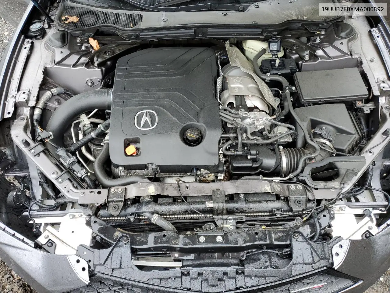 2021 Acura Tlx Type S VIN: 19UUB7F0XMA000892 Lot: 56051945