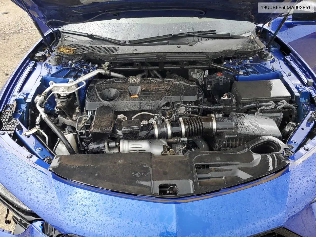 2021 Acura Tlx Tech A VIN: 19UUB6F56MA003861 Lot: 56301545