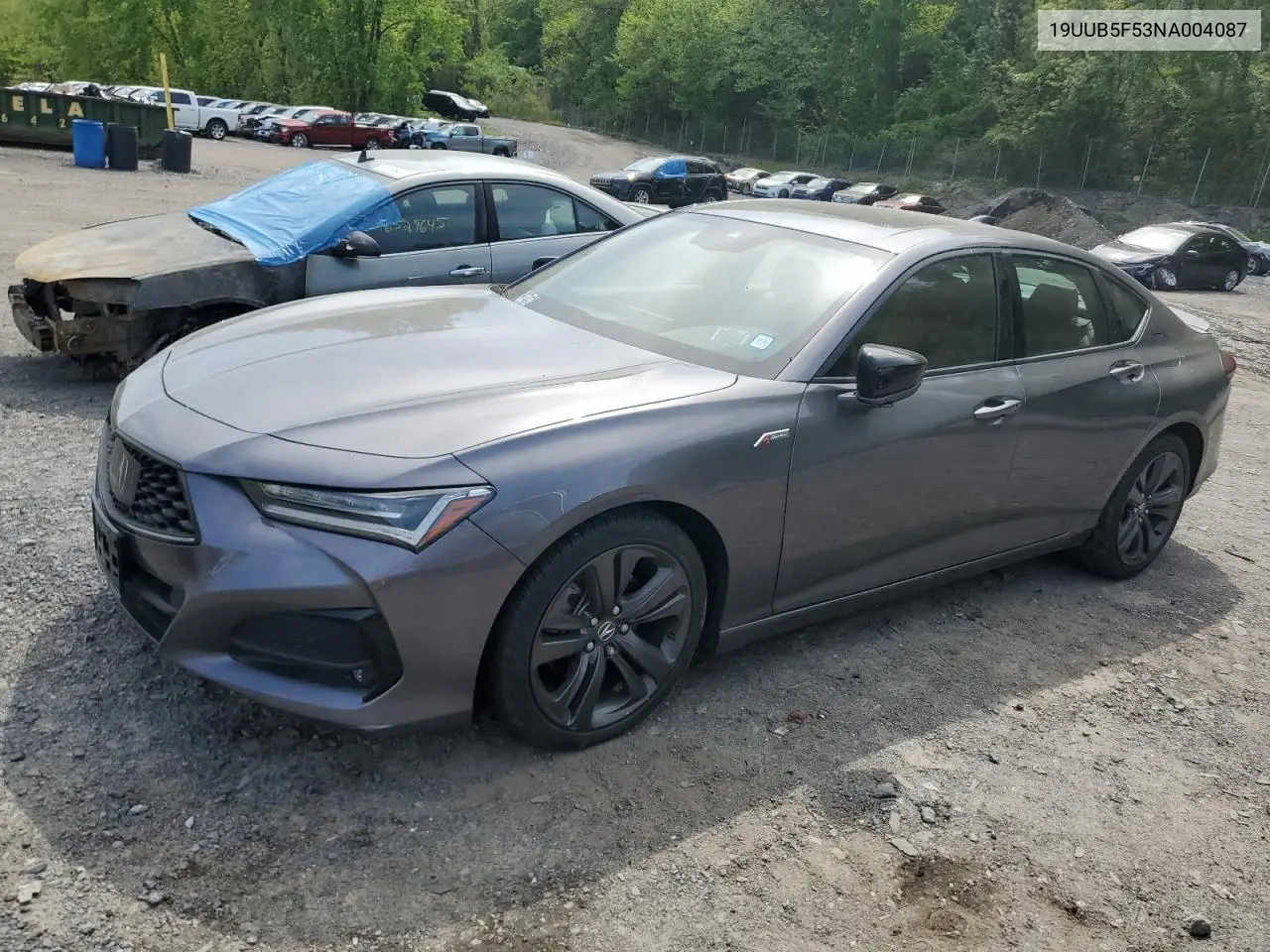 2022 Acura Tlx Tech A VIN: 19UUB5F53NA004087 Lot: 53633615