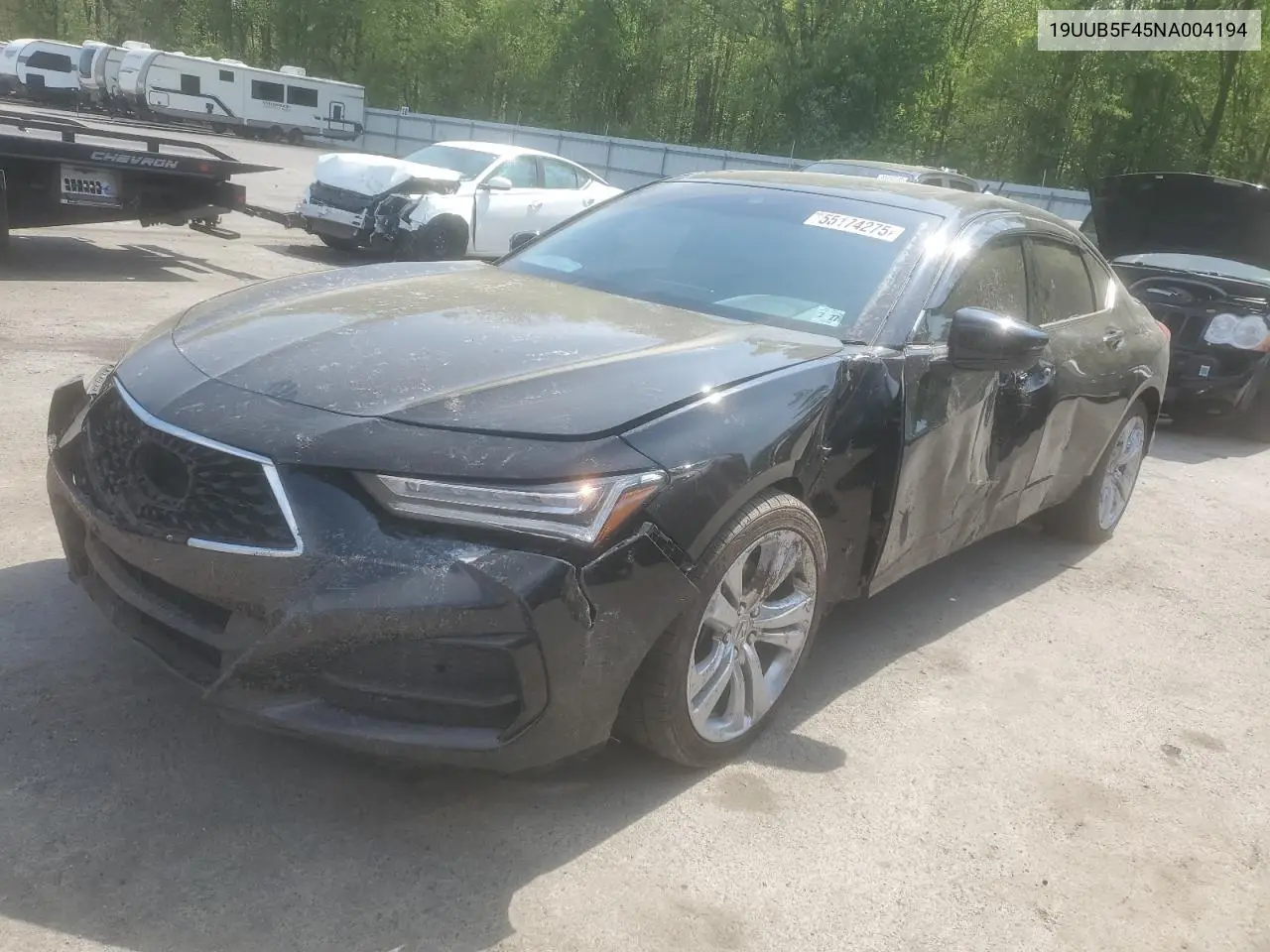 2022 Acura Tlx Technology VIN: 19UUB5F45NA004194 Lot: 55174275