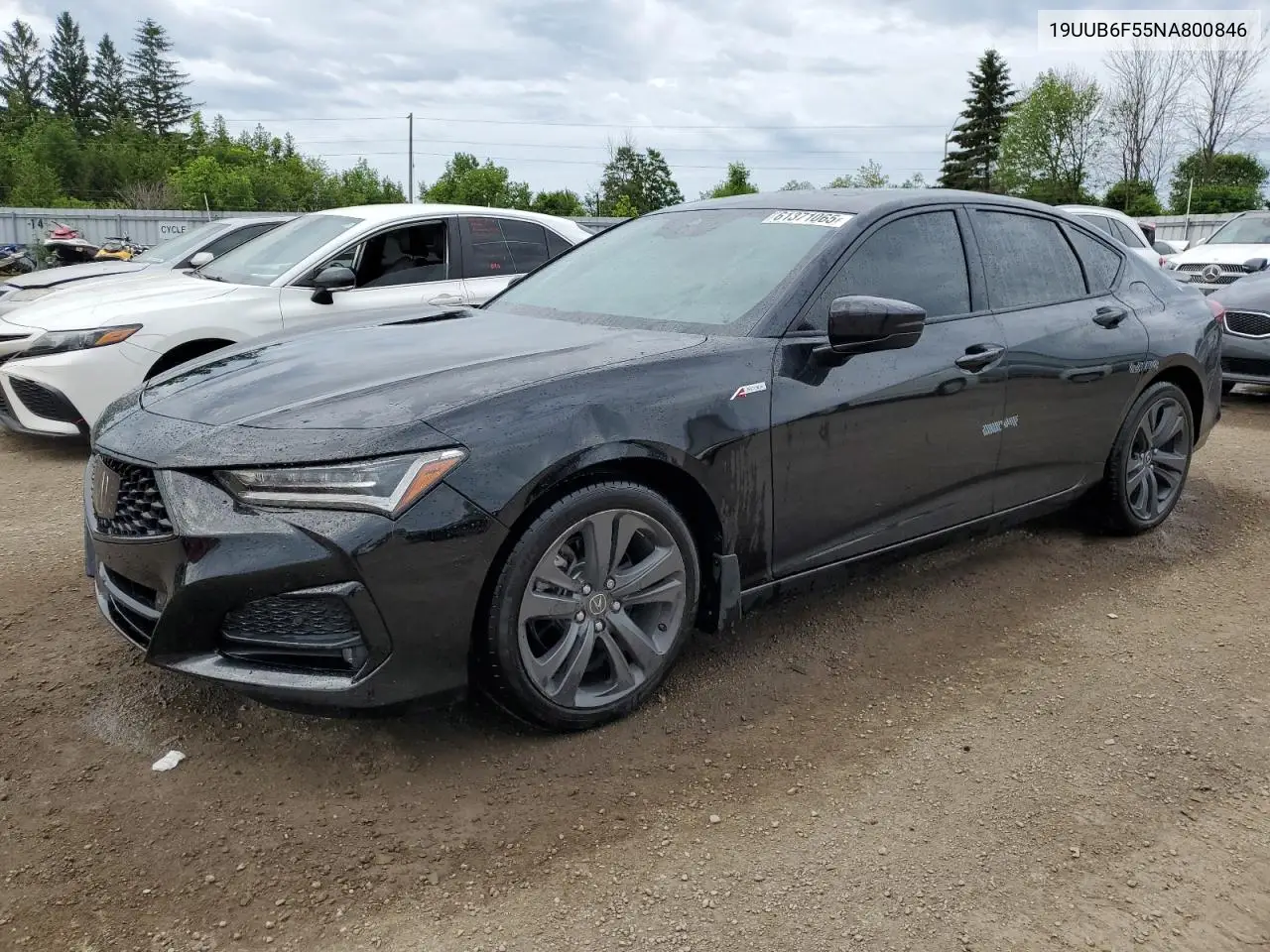 2022 Acura Tlx Tech A VIN: 19UUB6F55NA800846 Lot: 61371065