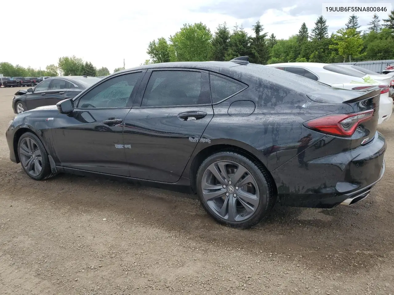 2022 Acura Tlx Tech A VIN: 19UUB6F55NA800846 Lot: 61371065