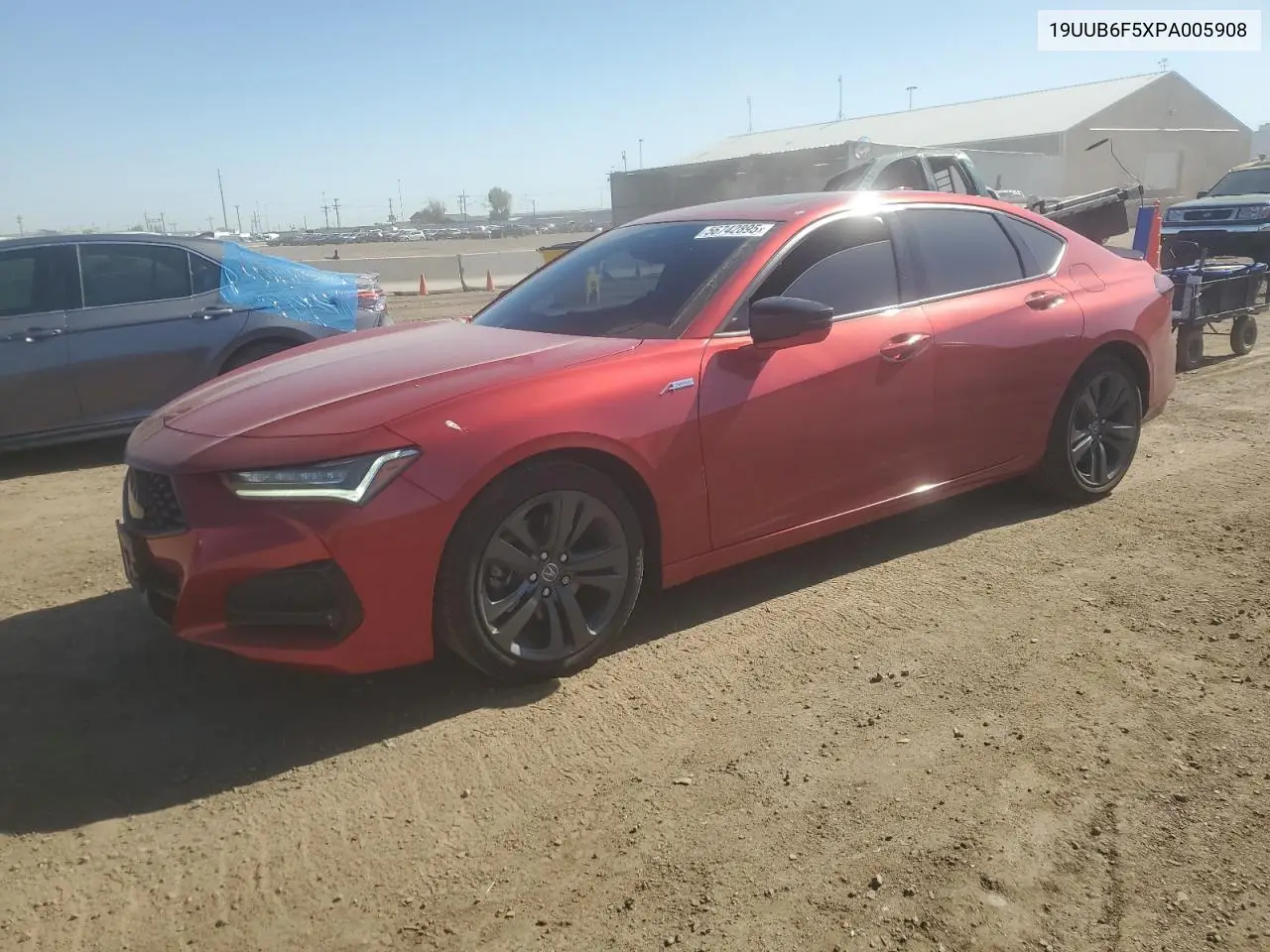 2023 Acura Tlx A-Spec VIN: 19UUB6F5XPA005908 Lot: 56742895