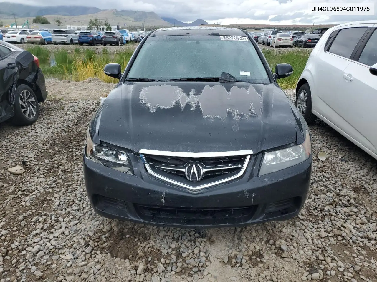 2004 Acura Tsx VIN: JH4CL96894C011975 Lot: 56926035