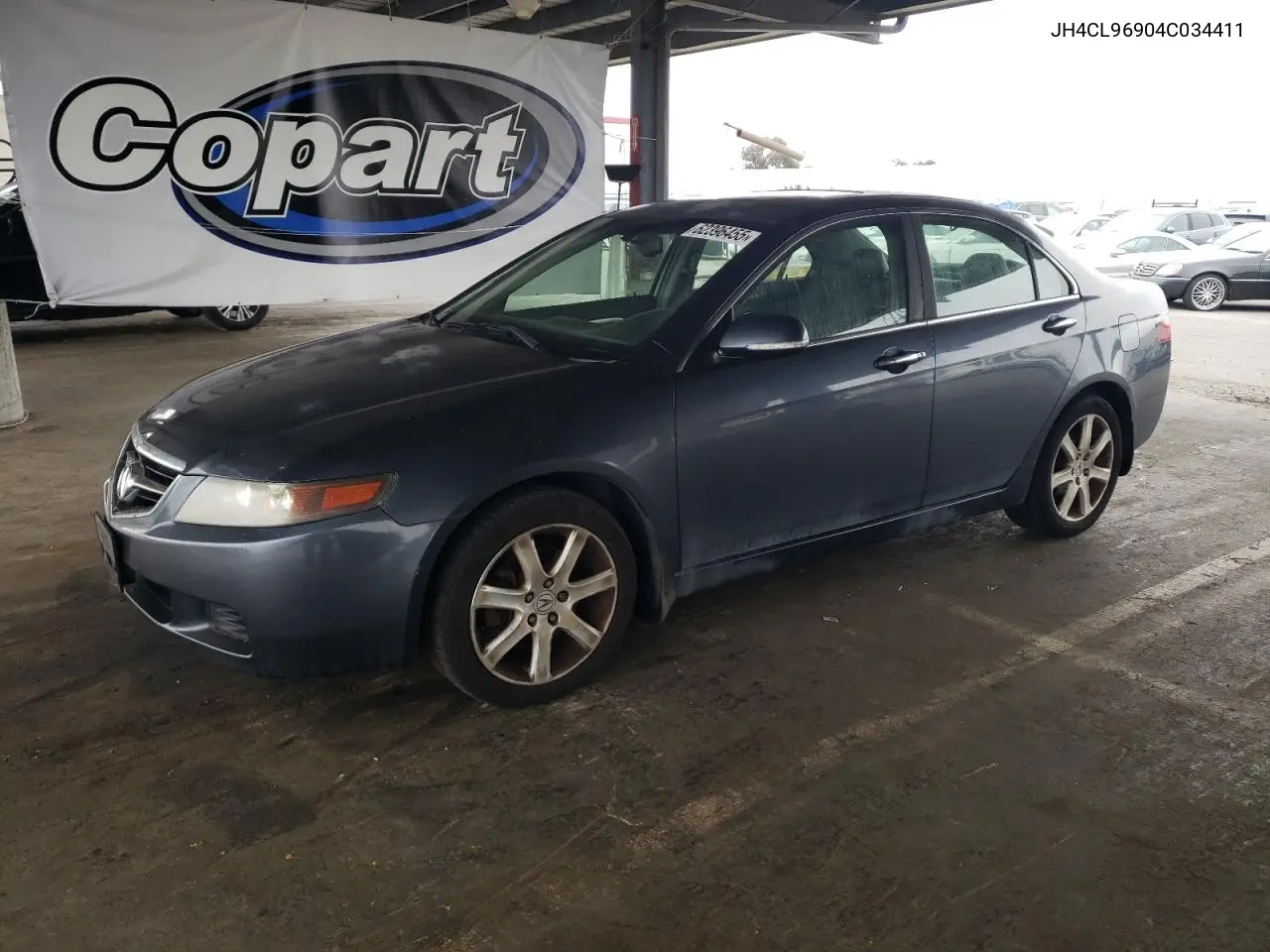 2004 Acura Tsx VIN: JH4CL96904C034411 Lot: 62396455
