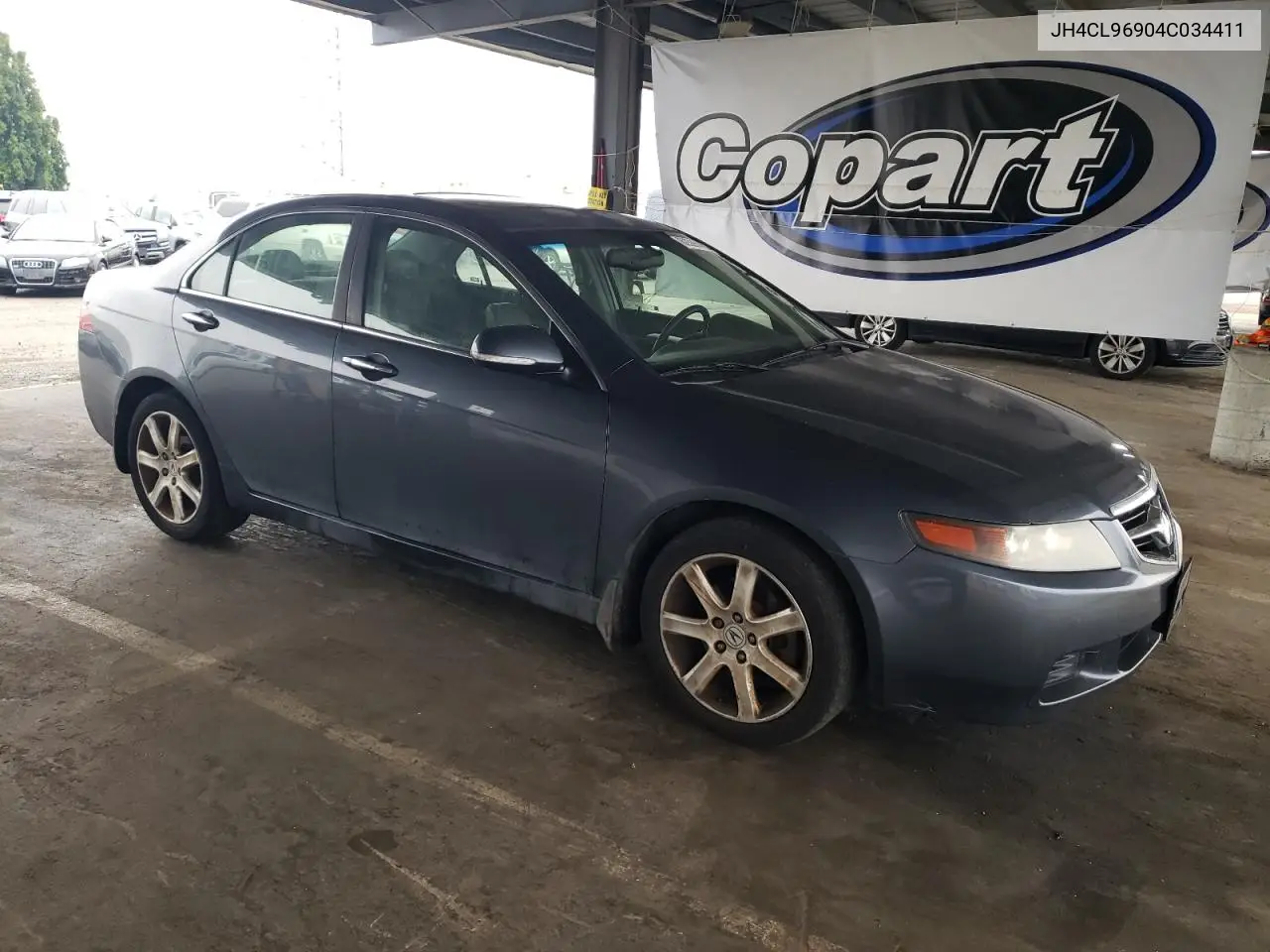 2004 Acura Tsx VIN: JH4CL96904C034411 Lot: 62396455