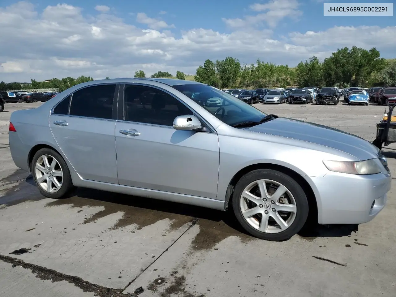 2005 Acura Tsx VIN: JH4CL96895C002291 Lot: 61676545