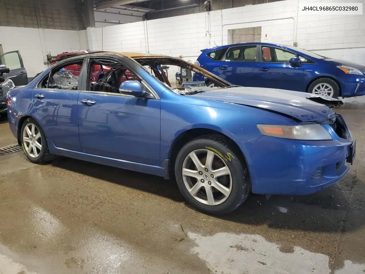 2005 Acura Tsx VIN: JH4CL96865C032980 Lot: 61870505