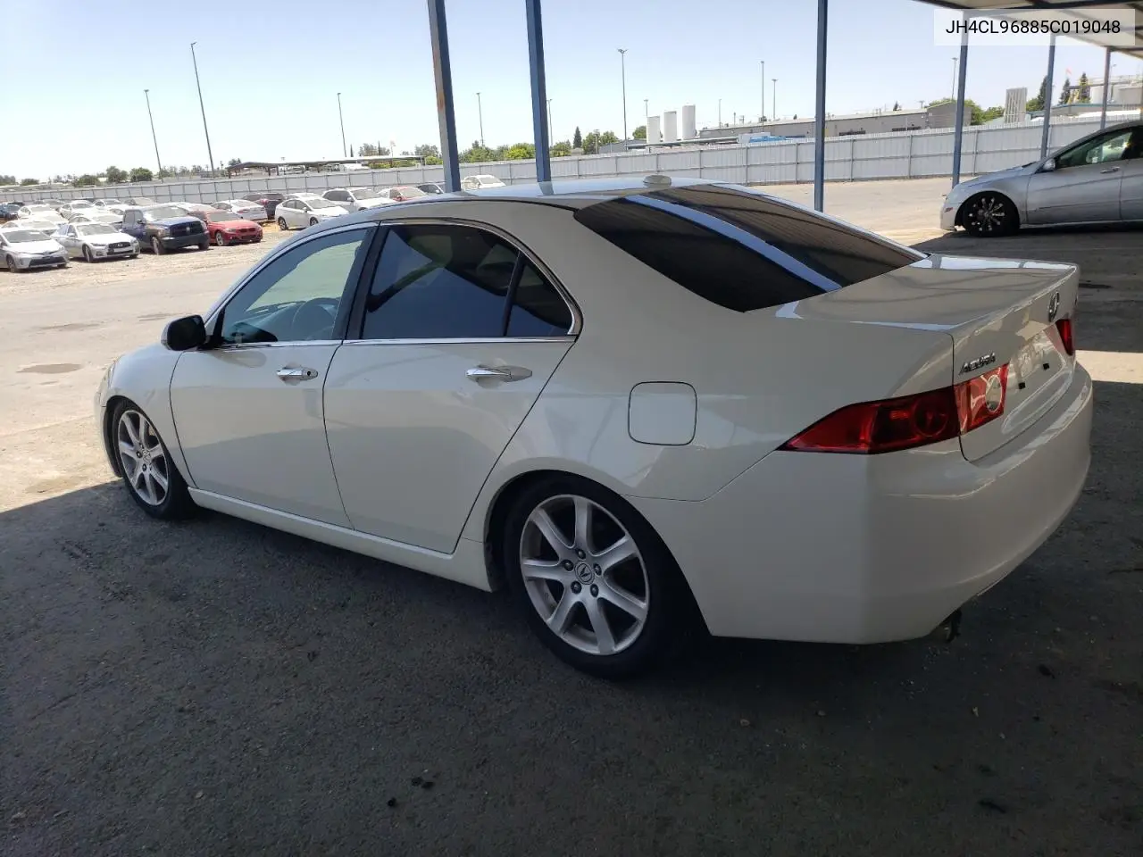 2005 Acura Tsx VIN: JH4CL96885C019048 Lot: 63140795