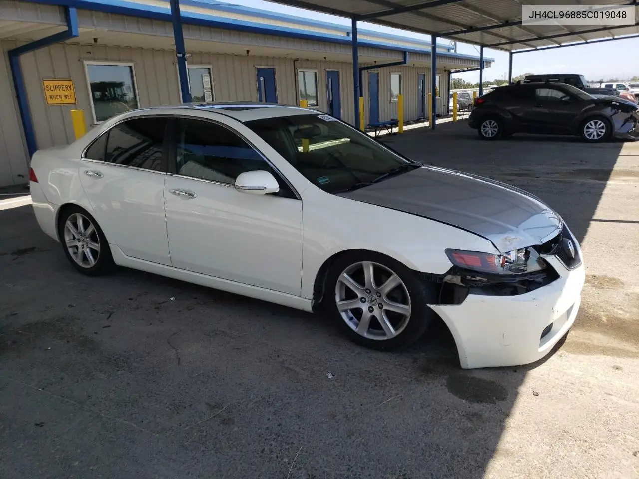 2005 Acura Tsx VIN: JH4CL96885C019048 Lot: 63140795